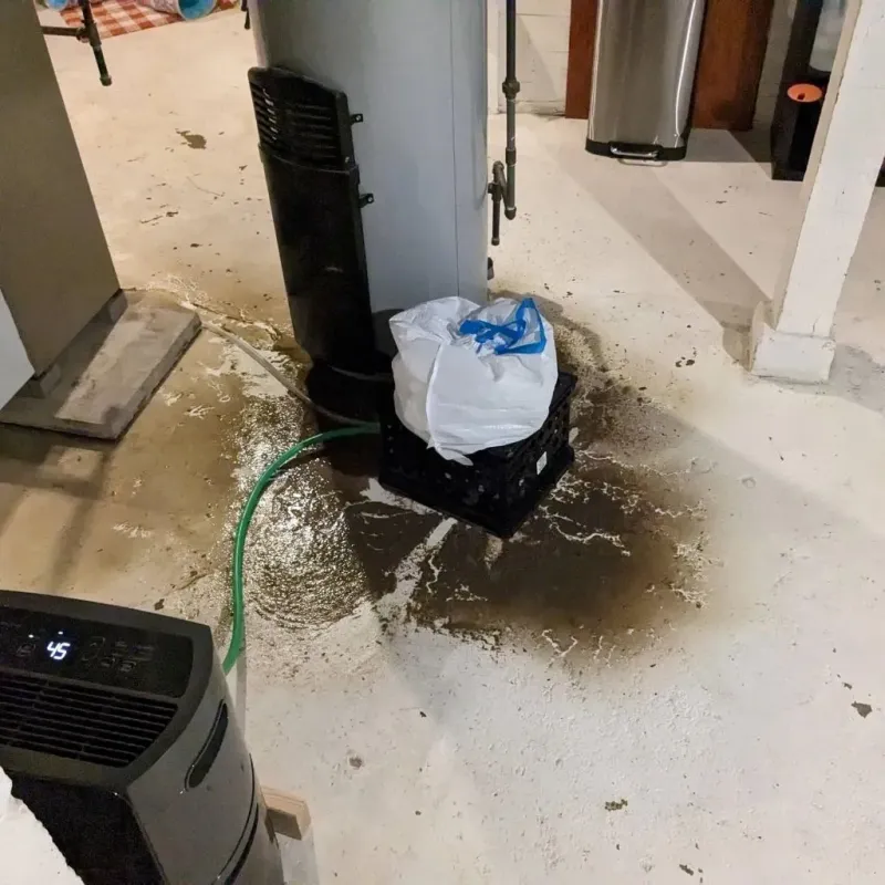 Sewage Backup Cleanup Service in East Lake-Orient Park, FL